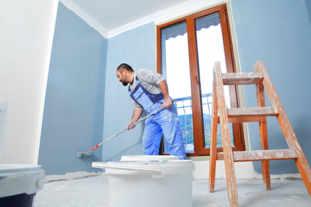 Reliable Sun Valley, PA Mold Removal Solutions